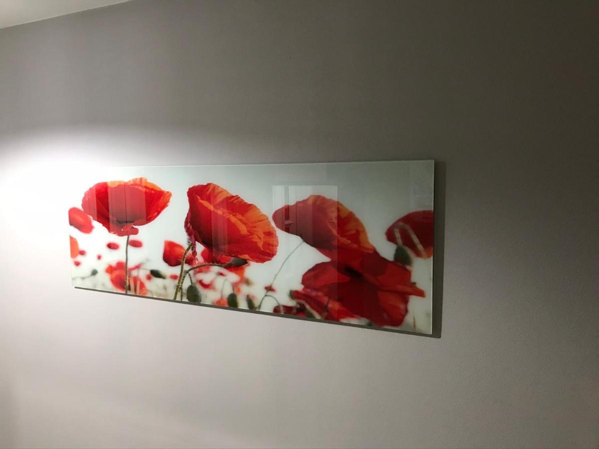 Апартаменты Flanders Fields Дингуолл Экстерьер фото